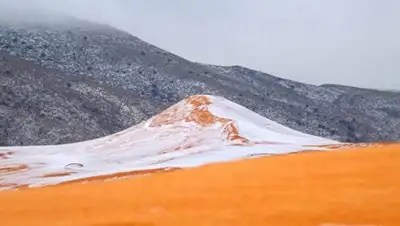 аккаунт Karim Bouchetata в Facebook, фото - Новости Zakon.kz от 07.02.2018 12:16