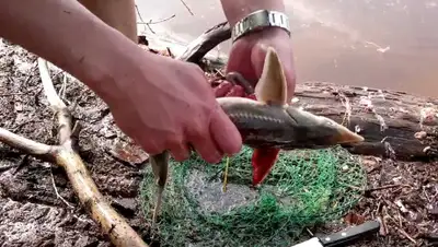 youtube.com, фото - Новости Zakon.kz от 02.09.2020 18:48