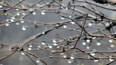 Zakon.kz, фото - Новости Zakon.kz от 24.03.2015 16:07