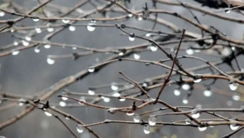 В Казахстане ожидается усиление ветра