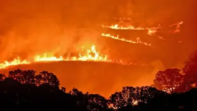 Zakon.kz, фото - Новости Zakon.kz от 08.01.2016 14:26