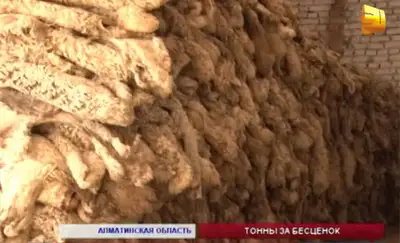 Zakon.kz, фото - Новости Zakon.kz от 13.11.2013 18:44