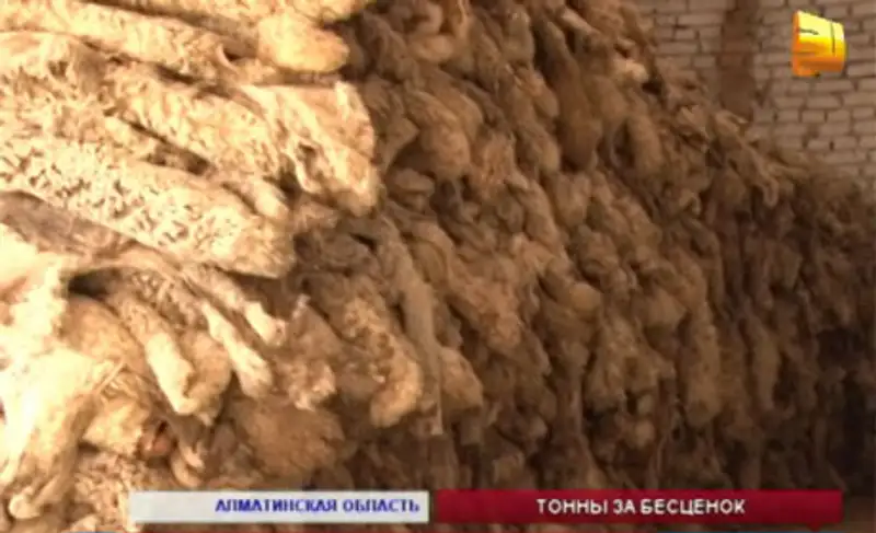 Предприниматели алматинской области просят открыть заводы по переработке шерсти