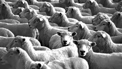 Zakon.kz, фото - Новости Zakon.kz от 23.09.2015 18:50