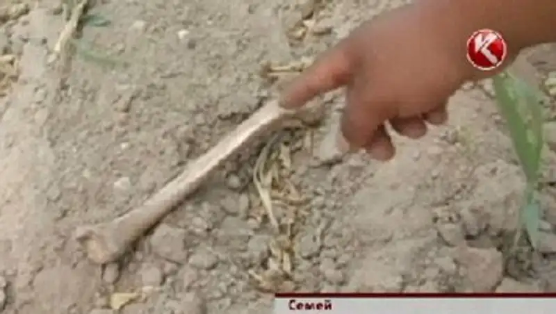 На берегу Иртыша дети обнаружили человеческие останки