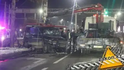 zakon.kz, фото - Новости Zakon.kz от 12.02.2019 17:19