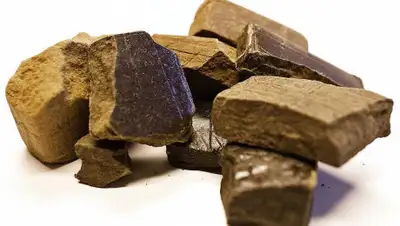 narconon-standard.ru, фото - Новости Zakon.kz от 04.08.2020 19:38