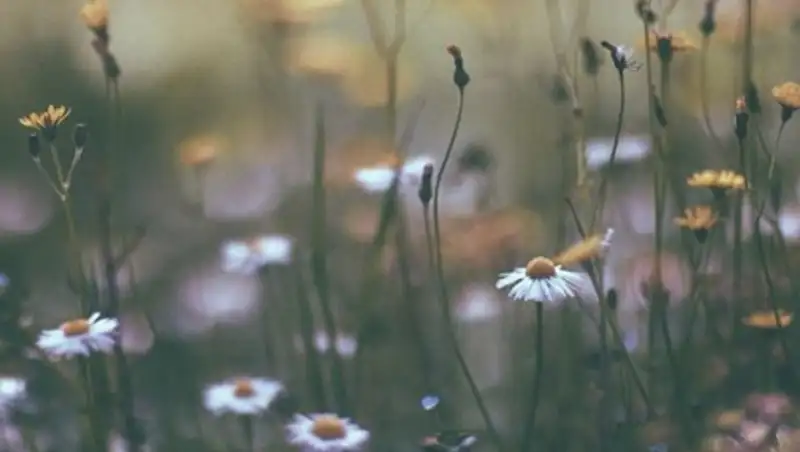 На юге и западе ожидается до 30-35 градусов тепла, сильных дождей не будет