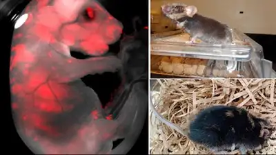 Zakon.kz, фото - Новости Zakon.kz от 28.01.2017 01:36