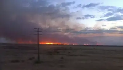 Zakon.kz, фото - Новости Zakon.kz от 31.07.2015 13:03