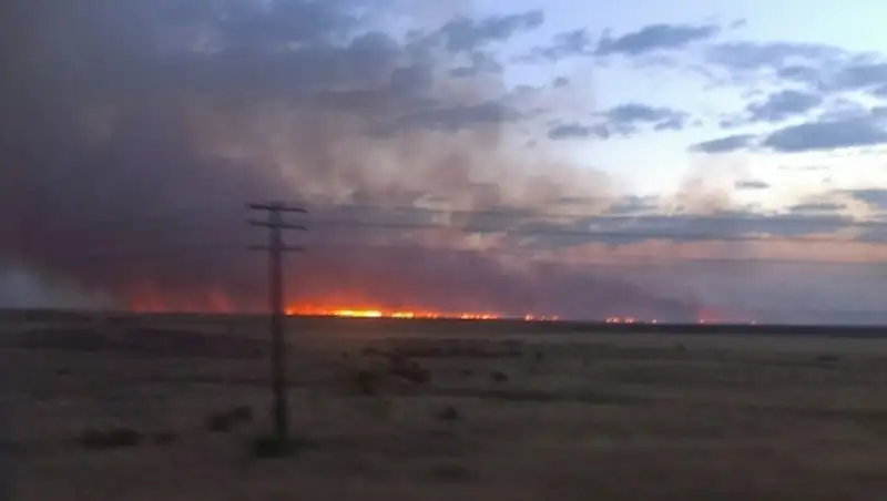 Сильный степной пожар бушует в ВКО