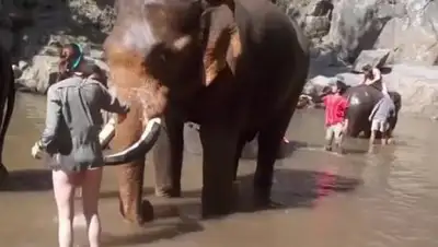 Zakon.kz, фото - Новости Zakon.kz от 12.02.2017 13:46