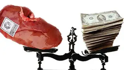 Zakon.kz, фото - Новости Zakon.kz от 15.04.2014 16:52