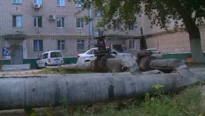 khabar.kz, фото - Новости Zakon.kz от 07.06.2018 16:06