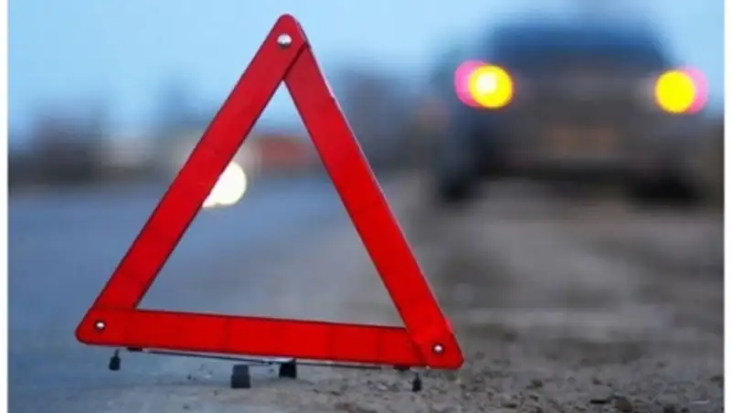 Смертельное ДТП с гражданами Японии вновь рассмотрят в суде Карагандинской области