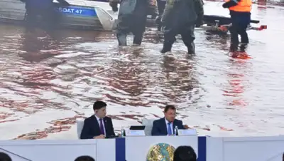 ortcom.kz, фото - Новости Zakon.kz от 01.04.2019 12:21