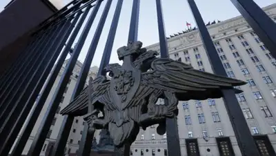 syfeed, фото - Новости Zakon.kz от 07.08.2020 06:42