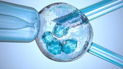 © Depositphotos / Alexmit, фото - Новости Zakon.kz от 23.01.2019 21:49