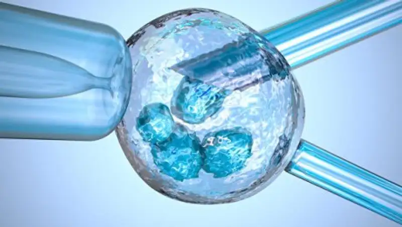 В Греции скоро родится новый тип "ребенка от трех родителей"