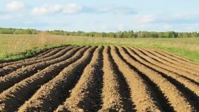 Zakon.kz, фото - Новости Zakon.kz от 31.03.2015 22:12