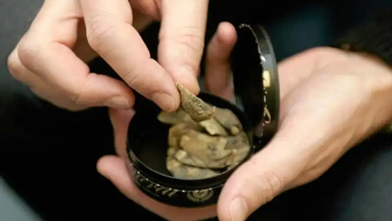 В Таможенном союзе решено запретить жевание табака