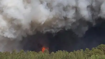 Как с вертолета тушат крупный пожар в Абайской области, фото - Новости Zakon.kz от 09.06.2023 19:19