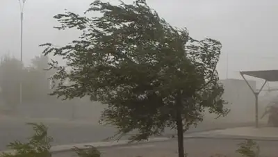 mirtesen.ru, фото - Новости Zakon.kz от 03.05.2019 17:45