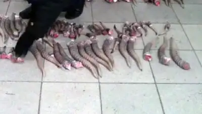 Zakon.kz, фото - Новости Zakon.kz от 16.02.2017 18:49