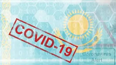 Kursiv.kz, фото - Новости Zakon.kz от 22.12.2020 00:01