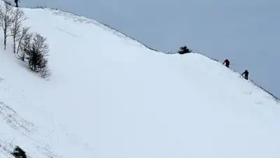 Zakon.kz, фото - Новости Zakon.kz от 19.01.2017 20:35