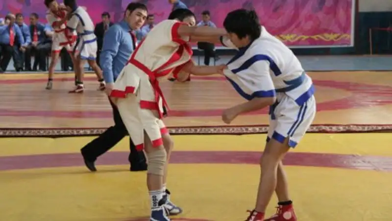 Назарбаев подписал закон, направленный на совершенствование системы финансирования спорта