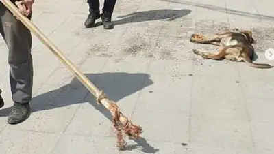 скриншот, фото - Новости Zakon.kz от 16.04.2021 00:04