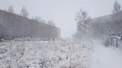 yk-news.kz, фото - Новости Zakon.kz от 18.10.2019 19:54