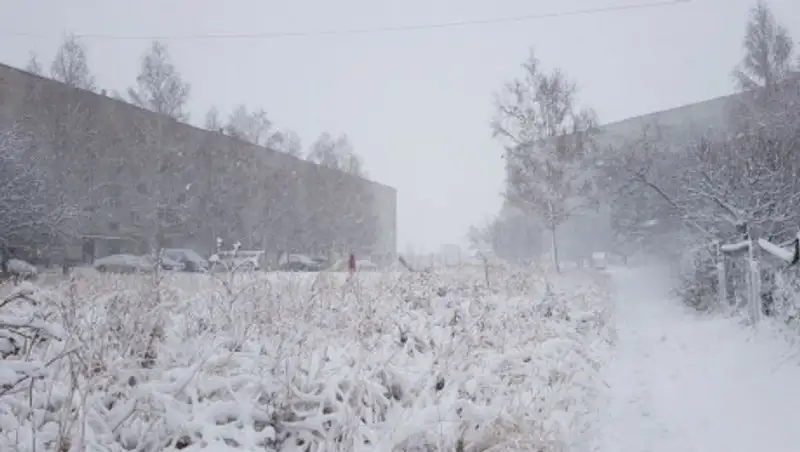 В ВКО выпал снег