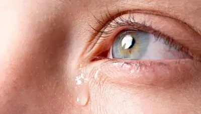 ochkov.net, фото - Новости Zakon.kz от 17.10.2018 10:53