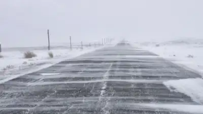 Zakon.kz, фото - Новости Zakon.kz от 09.12.2015 15:13