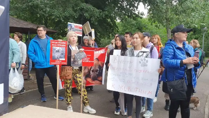 Митинг, посвященный бездомным животным в Алматы: участники требуют строительства приютов
