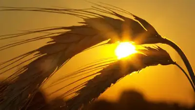 Zakon.kz, фото - Новости Zakon.kz от 06.10.2014 15:38