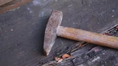 om1.ru, фото - Новости Zakon.kz от 16.03.2021 16:02