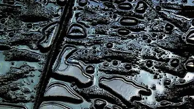 Нефть разлилась в Мангистау: виновных нет , фото - Новости Zakon.kz от 03.05.2023 04:52