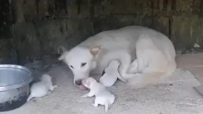 belta, фото - Новости Zakon.kz от 12.02.2021 08:22