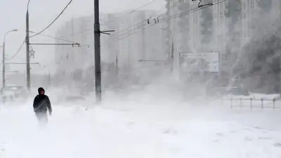 K1NEWS, фото - Новости Zakon.kz от 20.11.2018 16:15