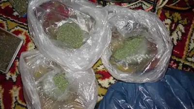 Zakon.kz, фото - Новости Zakon.kz от 15.03.2016 15:30