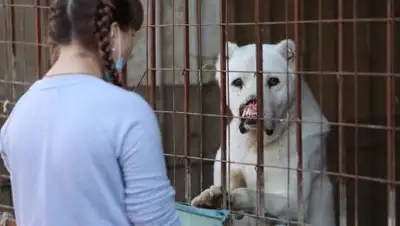 zakon.kz/Павел Михеев, фото - Новости Zakon.kz от 22.10.2021 09:28