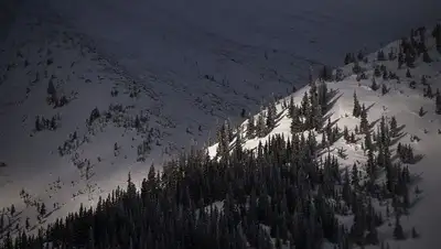 лавина, фото - Новости Zakon.kz от 18.03.2022 16:59