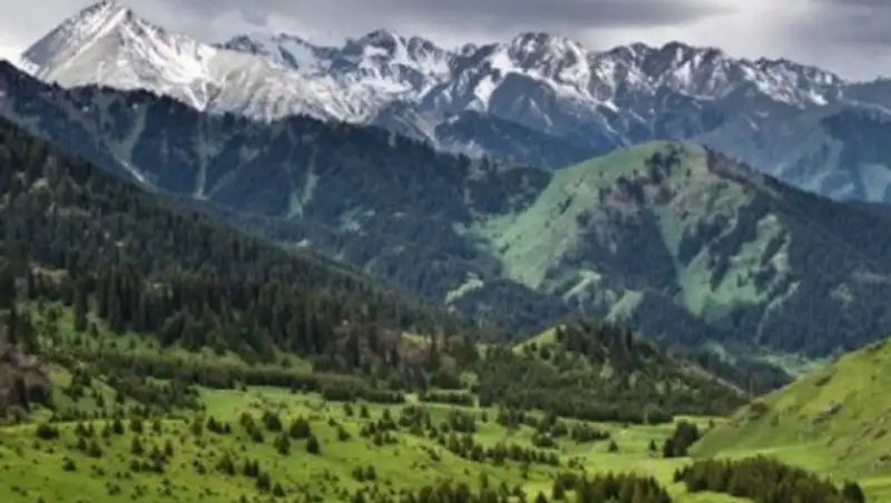 almaty.tv