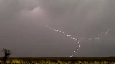© AFP 2018 / VYACHESLAV OSELEDKO, фото - Новости Zakon.kz от 13.08.2018 06:13