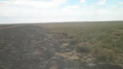 Zakon.kz, фото - Новости Zakon.kz от 20.06.2017 01:44