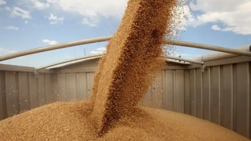 Саудовская Аравия просит рассмотреть преференции для экспорта казахстанского зерна