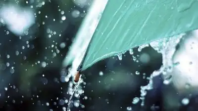 inform.kz, фото - Новости Zakon.kz от 04.05.2018 09:30